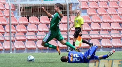 גוזלן מוכשל (יניב גונן)