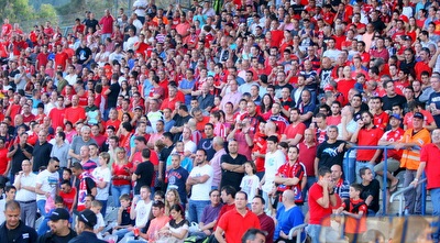 אוהדי הפועל חיפה (משה חרמון)