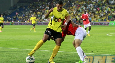 סבע בפעולה (יוסי ציפקיס)