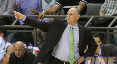 בראד גרינברג (עמית מצפה)