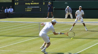 ג´וקוביץ´ מול מארי (רויטרס)