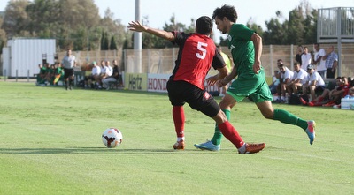 שיימן בפעולה (עמית מצפה)