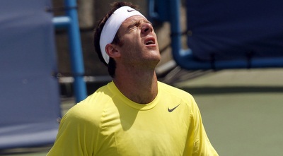 חואן מרטין דל פוטרו מאוכזב (רויטרס)