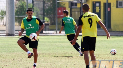 דוד רביבו (שי לוי) דוד רביבו (שי לוי)