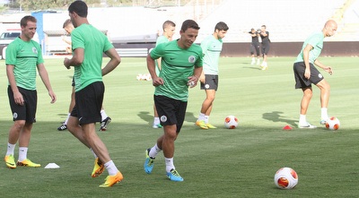 בוקולי. יפתח בקישור (עמית מצפה) בוקולי. יפתח בקישור (עמית מצפה)