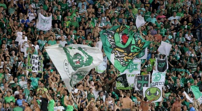 אוהדי מכבי חיפה. חייבים לנצח בבית (משה חרמון)