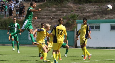 הנגיחה של גוזלן  (עמית מצפה)