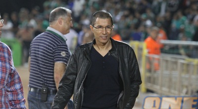 אלי טביב (עמית מצפה)