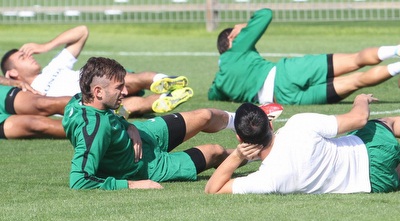 פלאח (עמית מצפה) פלאח (עמית מצפה)