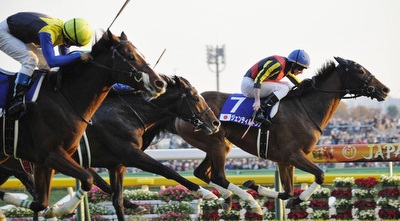 מירוצי סוסים. יהיה צמוד (רויטרס) מירוצי סוסים. יהיה צמוד (רויטרס)