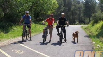 סינגל בית קשת (דינה יצחק) סינגל בית קשת (דינה יצחק)