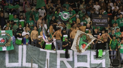 אוהדי מכבי חיפה (עמית מצפה) אוהדי מכבי חיפה (עמית מצפה)