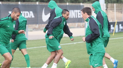 בוקולי, קטן ומשומר (עמית מצפה)