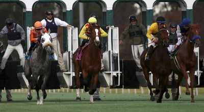 מרוצי סוסים (רויטרס)