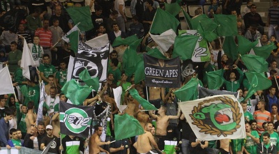 אוהדי מכבי חיפה (עמית מצפה)