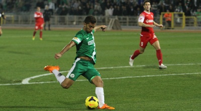 גוזלן גוזלן כובש (עמית מצפה)