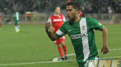 גוזלן חוגג (עמית מצפה)