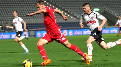 דמארי על הדשא (שי לוי)