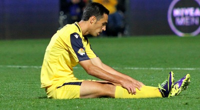 זהבי על הדשא. יקבל מנוחה (שי לוי)