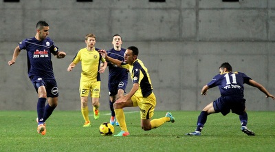 פסר מפיל את זהבי (רדאד ג´בארה) פסר מפיל את זהבי (רדאד ג´בארה)