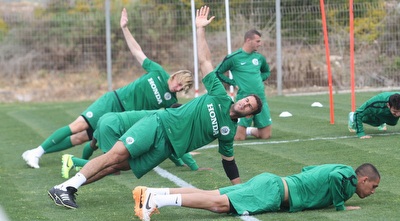 דקל קינן (עמית מצפה)