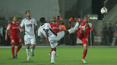 קסונדה מרים רגל גבוהה (עמית מצפה)