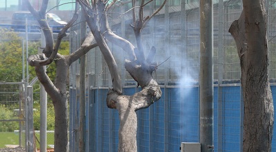 נפצים בקריית שלום (רדאד ג´בארה)