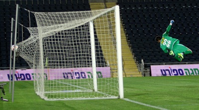 הכדור של אצילי ברשת (יניב גונן)