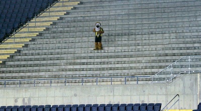 הנמר של בית&qout;ר בודד ביציע (יניב גונן)