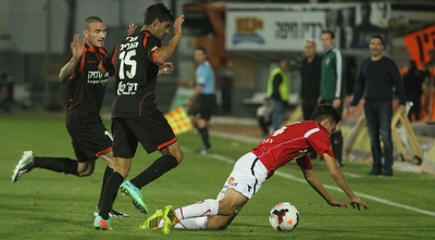 סרדל מופל על הדשא (עמית מצפה)