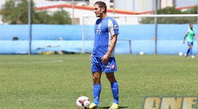 אלרואי כהן (שי לוי)