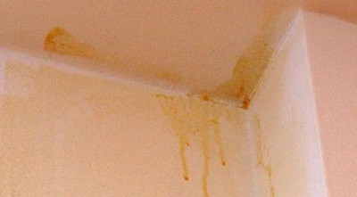 השתן על קיר דירתו של אידריסו (מערכת ONE)