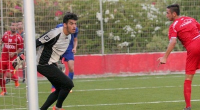 גינזבורג (משה חרמון) גינזבורג (משה חרמון)