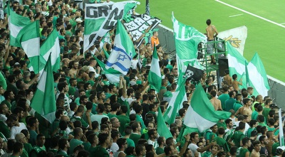 אוהדי מכבי חיפה (עמית מצפה) אוהדי מכבי חיפה (עמית מצפה)