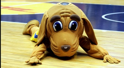 דוני על הפרקט (יניב גונן)