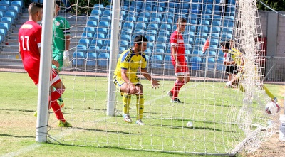 הכדור ברשת של רעננה (משה חרמון)