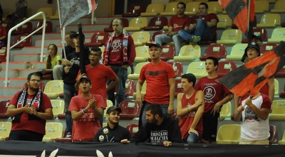 אוהדי ירושלים (עמרי שטיין)