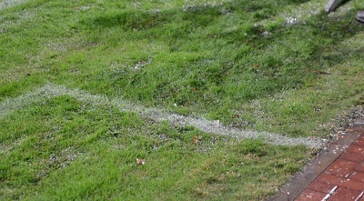 הדשא בק´´ש (ניסן עייש)