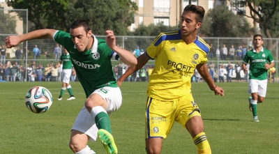 נטע לביא (משה חרמון) נטע לביא (משה חרמון)