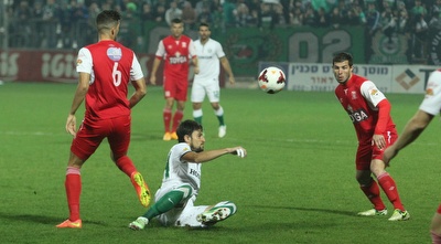 מיצ´ל על הדשא (עמית מצפה)