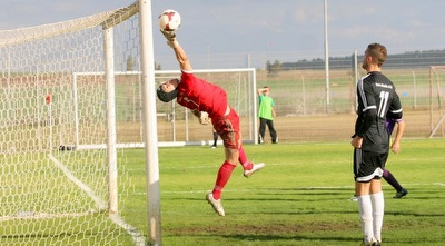 חגי ילון (משה חרמון)