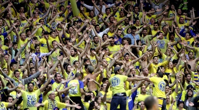 אוהדי מכבי ת&qout;א (יניב גונן)