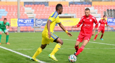 מאוויס צ´יבוטה (משה חרמון)