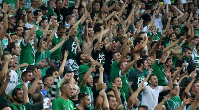 אוהדי מכבי חיפה. נתונים מרשימים (רדאד ג&acute;בארה)