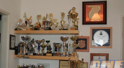 המדפים מפוצצים. חדרו של צוברי (הילה מדינה)