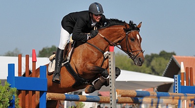 קפיצת מעל משוכות. הסוסים יצלחו את המכשול? (רויטרס)