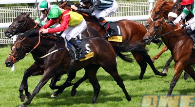 מירוץ סוסים (GettyImages) מירוץ סוסים (GettyImages)