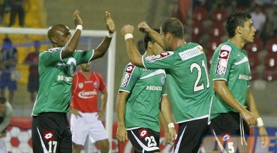 דקל קינן ומסיללה. חיפה מוכנה ליובה (אמיר לוי) דקל קינן ומסיללה. חיפה מוכנה ליובה (אמיר לוי)