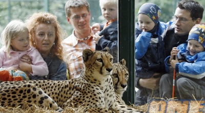 גן החיות בווינה (רויטרס) גן החיות בווינה (רויטרס)