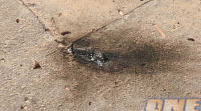 שרידי בקבוקי התבערה (רועי גלדסטון)